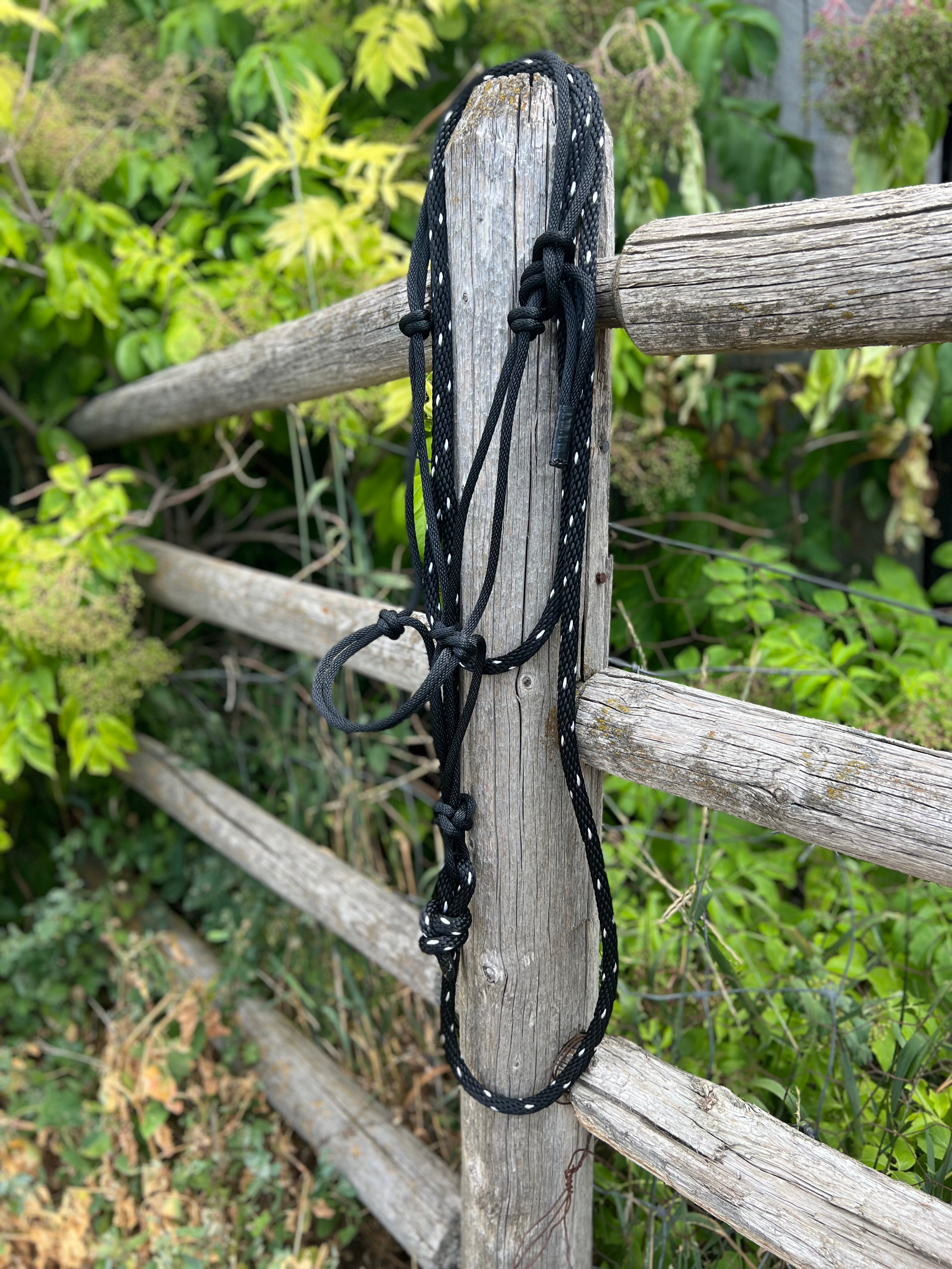 Rope Halter