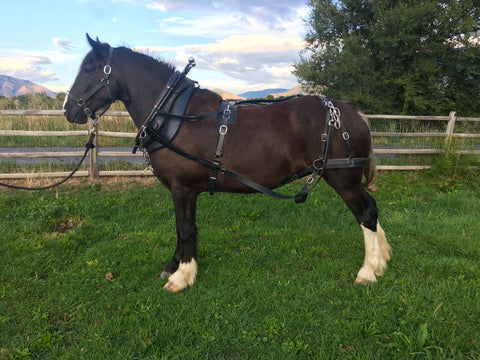 Two Strap Farm Harness  Team Set